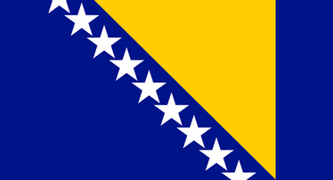 Nhóm khảo sát trực tuyến (online panel) ở Bosnia và Herzegovina