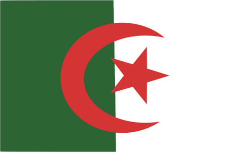Online panel - nghiên cứu thị trường ở Algeria