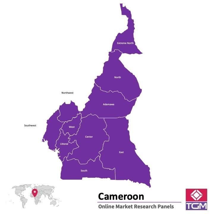 Online panel tại Cameroon| Nghiên cứu thị trường tại Cameroon