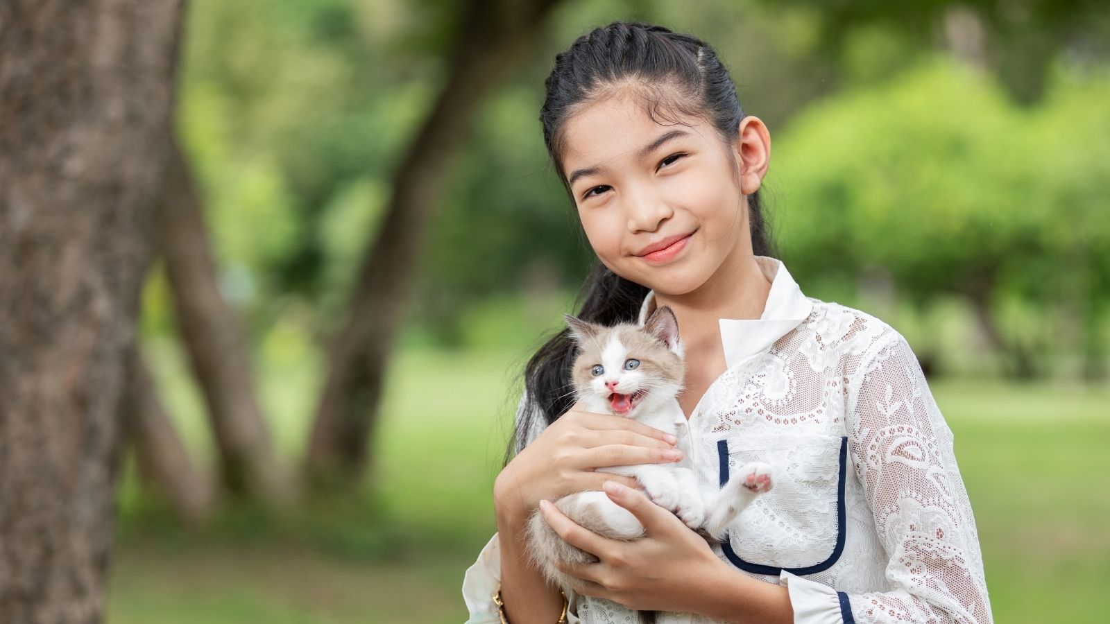 Bối Cảnh Thị Trường Thú Cưng Việt Nam