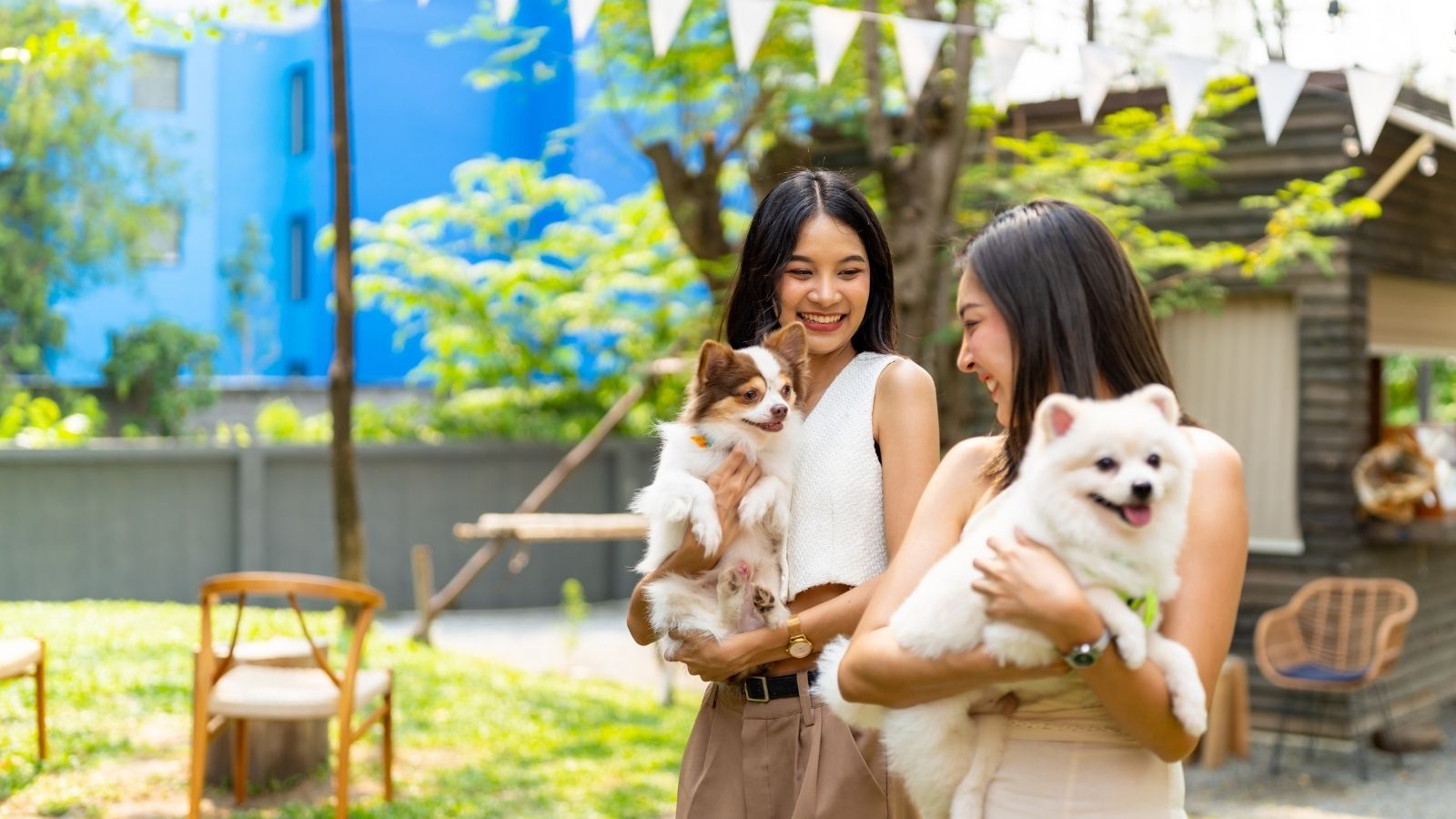Nghiên Cứu Insight Ngành Thú Cưng Việt Nam