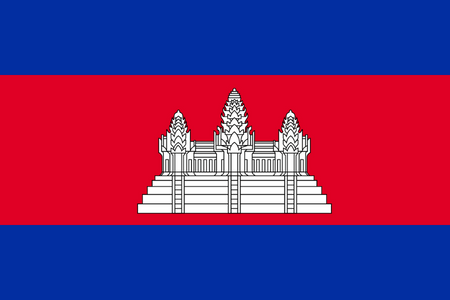 Nhóm khảo sát trực tuyến (online panel) ở Campuchia