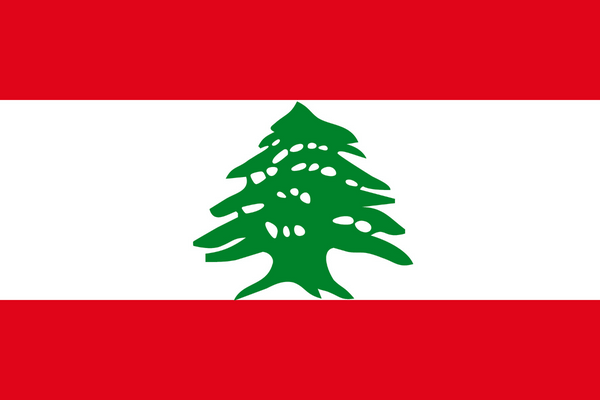 Nghiên cứu thị trường qua di động ở Lebanon