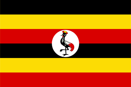 Online panel - nghiên cứu thị trường ở Uganda