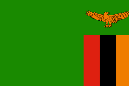 Nhóm khảo sát trực tuyến (online panel) ở Zambia