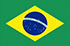 Online panel - nghiên cứu thị trường ở Brazil