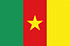 Nghiên cứu thị trường qua di động ở Cameroon