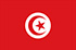 Nhóm khảo sát trực tuyến - market research ở Tunisia