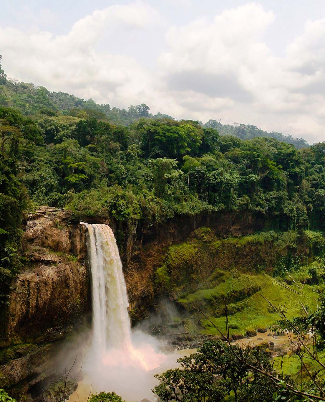 Tổng Quan về Cameroon