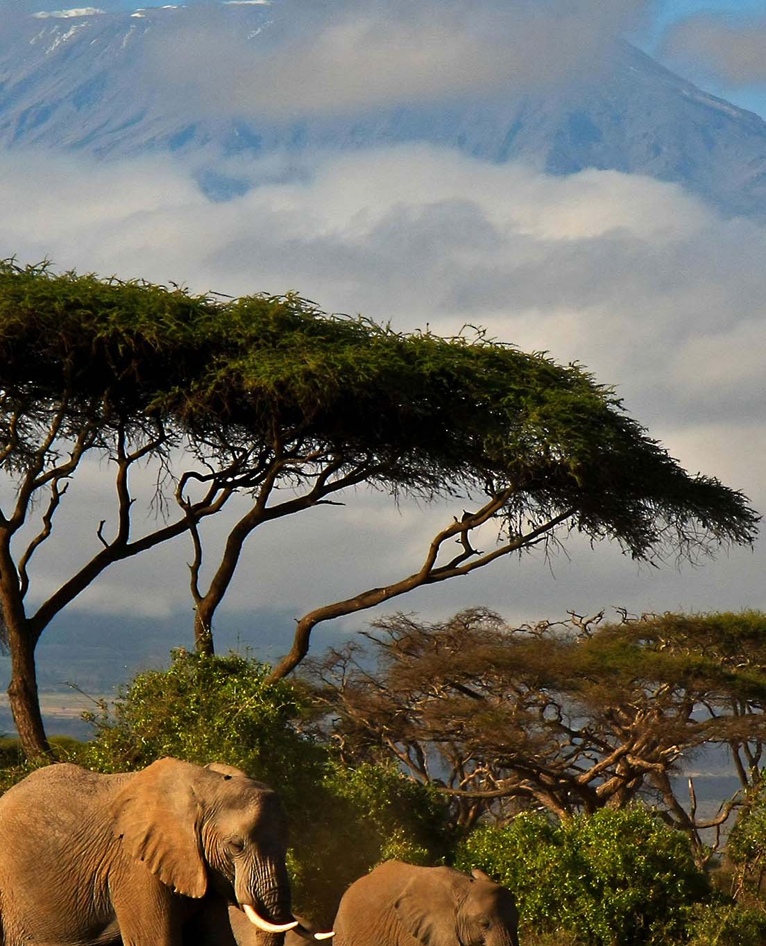 Tổng Quan về Kenya