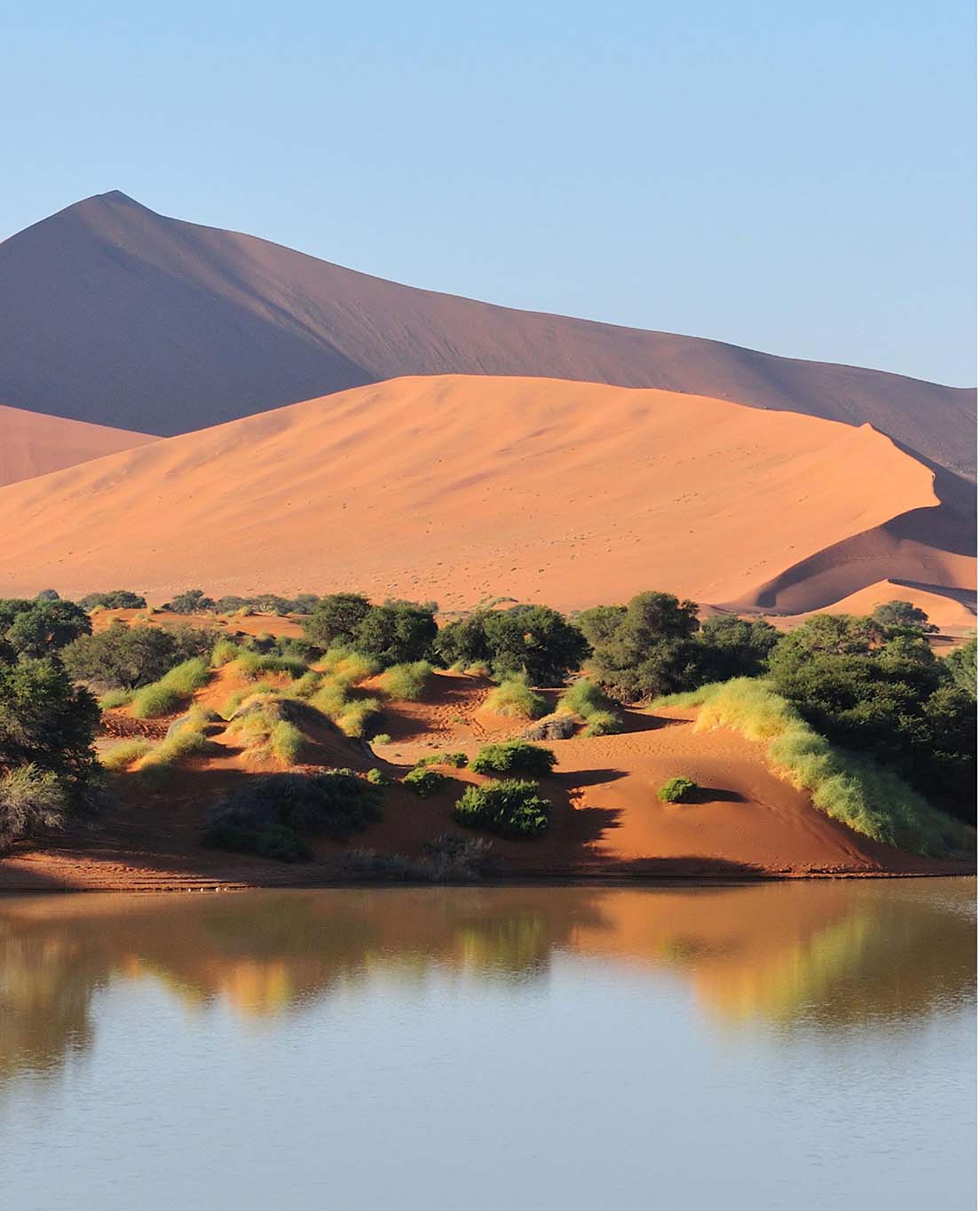 Tổng Quan về Namibia