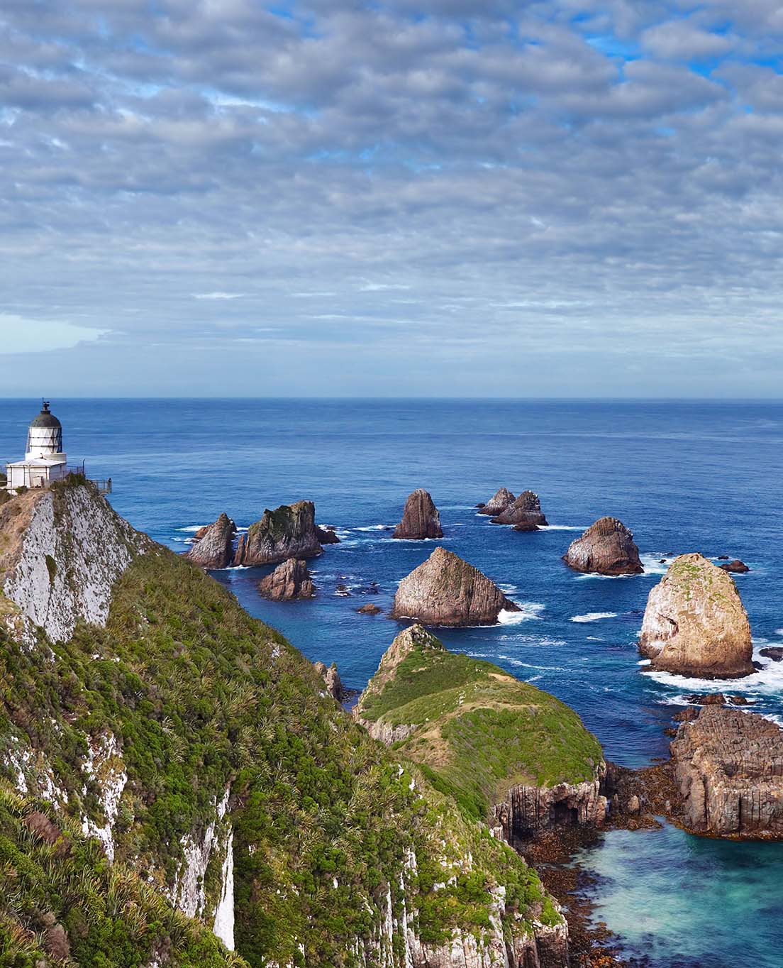 Tổng Quan về New Zealand 