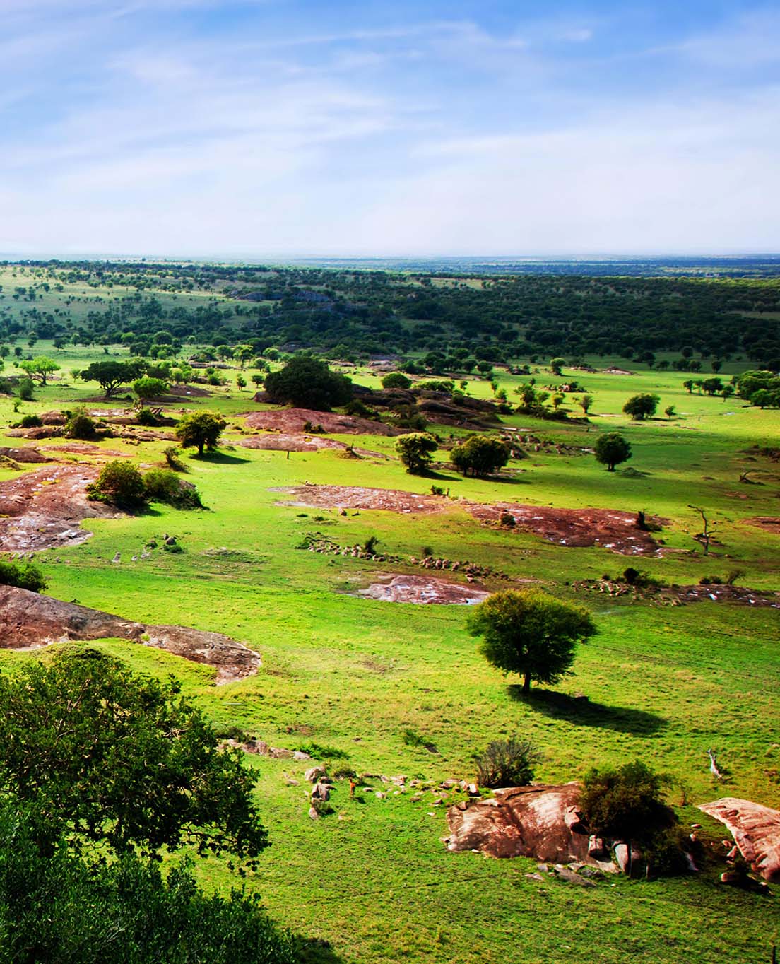 Tổng Quan về Tanzania