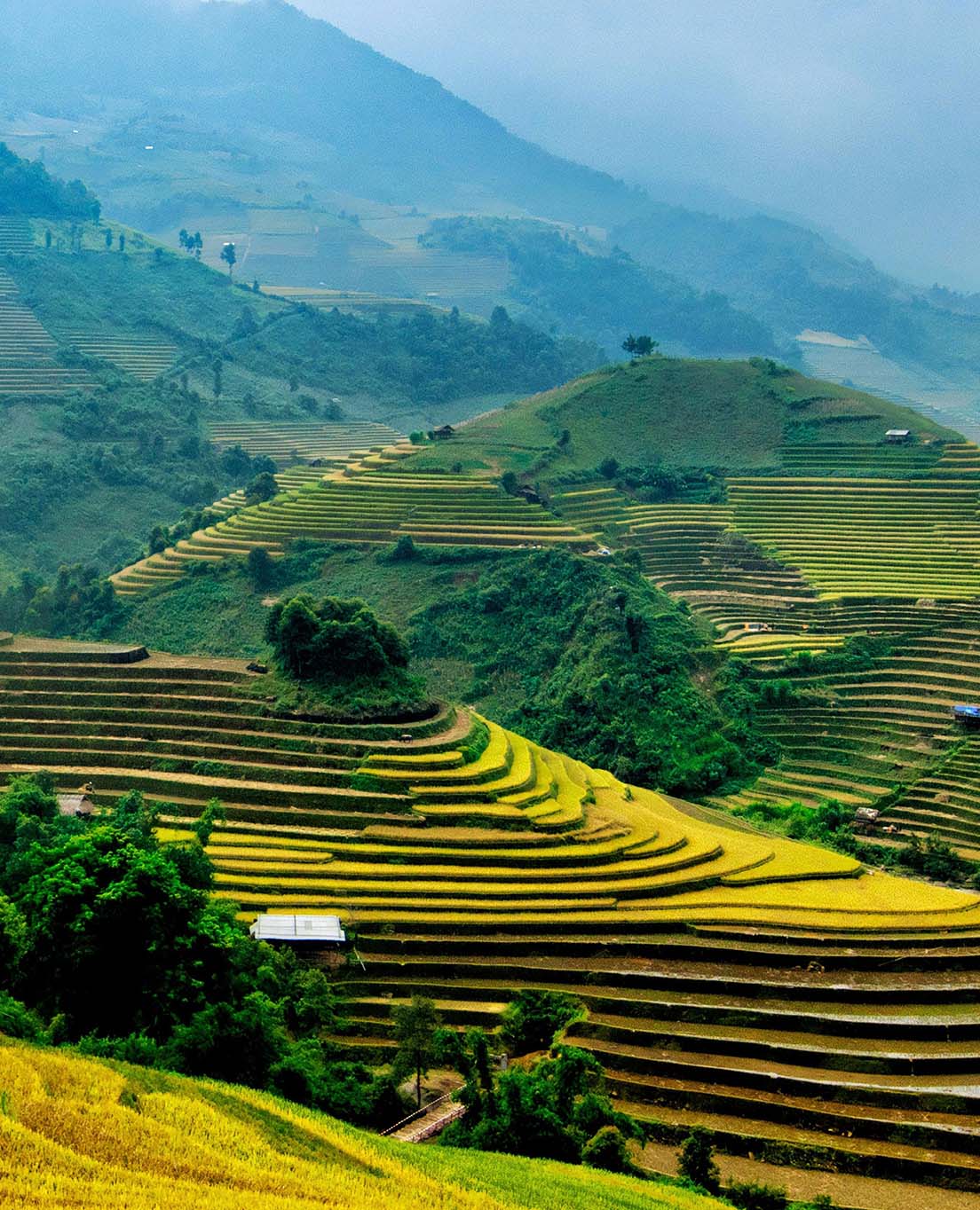 Tổng Quan về Việt Nam
