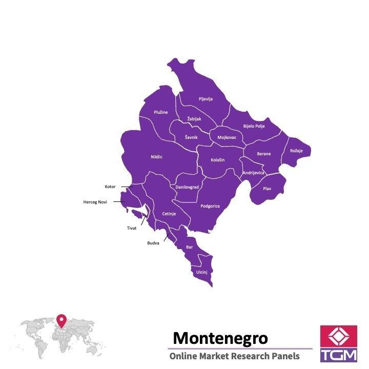 Online panel tại Montenegro| Nghiên cứu thị trường tại Montenegro