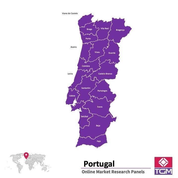 Online panel tại Bồ Đào Nha| Nghiên cứu thị trường tại Bồ Đào Nha