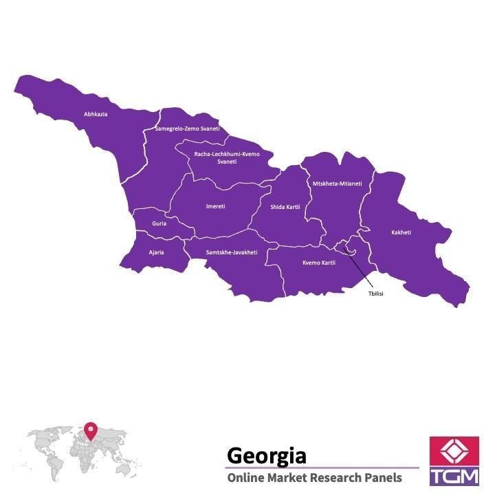 Online panel tại Gruzia| Nghiên cứu thị trường tại Gruzia