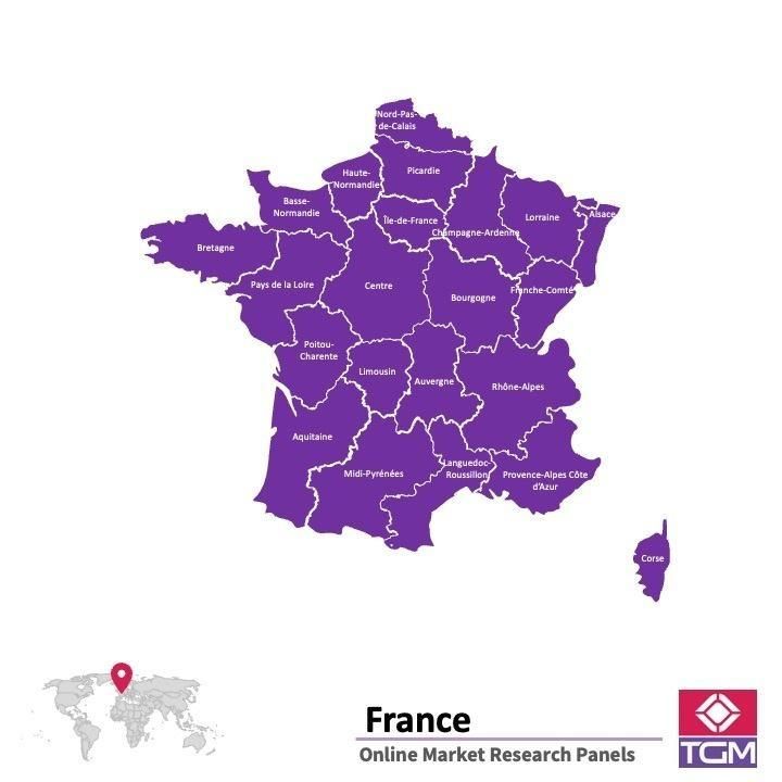 Online panel tại Pháp| Nghiên cứu thị trường tại Pháp