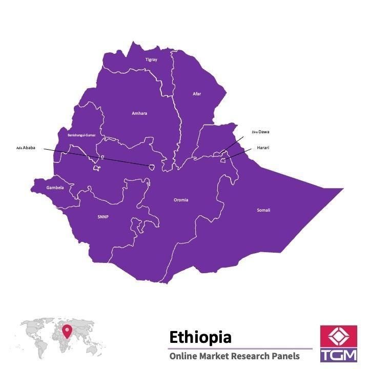 Online panel tại Ethiopia| Nghiên cứu thị trường tại Ethiopia