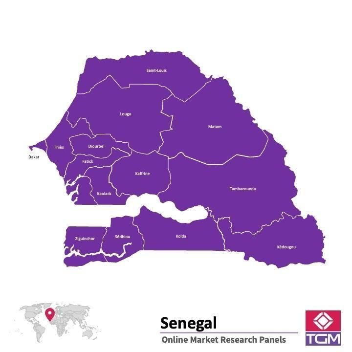 Online panel tại Senegal| Nghiên cứu thị trường tại Senegal
