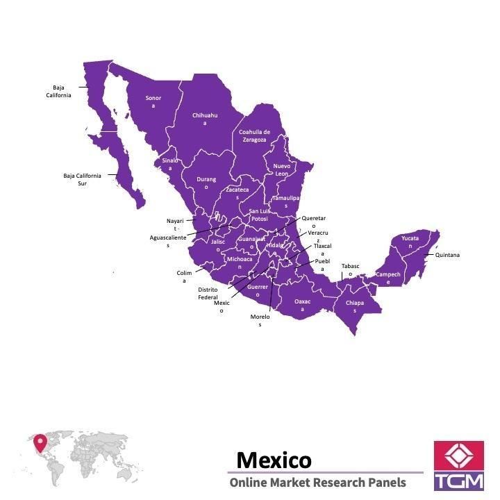 Online panel tại Mexico| Nghiên cứu thị trường tại Mexico