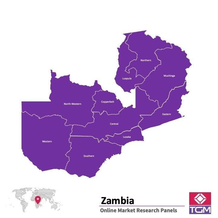 Online panel tại Zambia| Nghiên cứu thị trường tại Zambia
