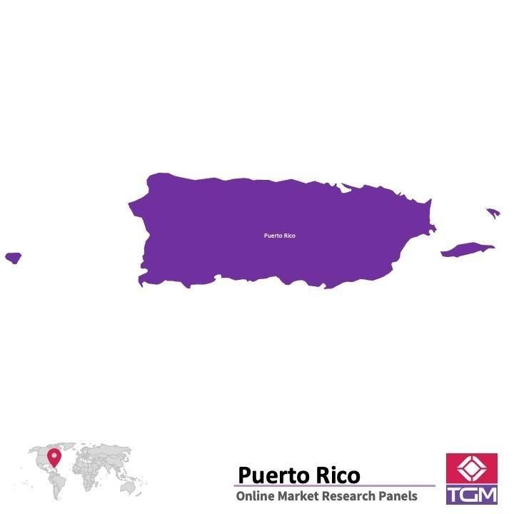 Online panel tại Puerto Rico| Nghiên cứu thị trường tại Puerto Rico