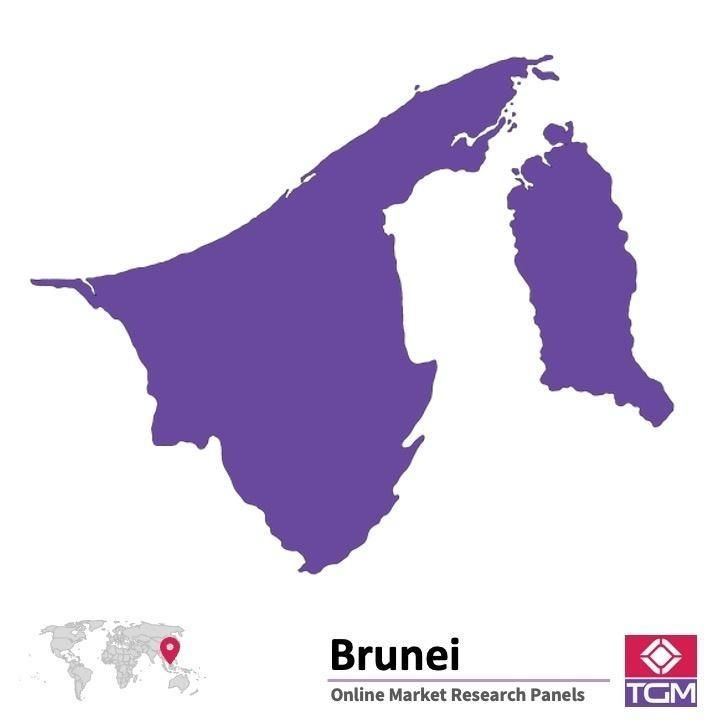 Online panel tại Brunei| Nghiên cứu thị trường tại Brunei