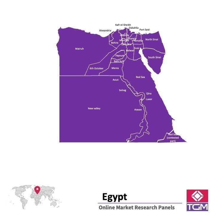 Online panel tại Ai Cập| Nghiên cứu thị trường tại Ai Cập