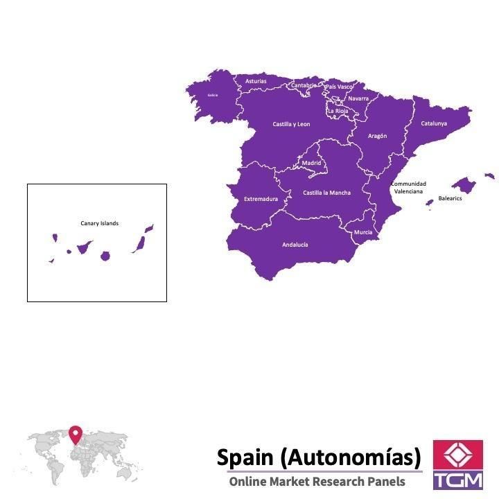 Online panel tại Tây Ban Nha| Nghiên cứu thị trường tại Tây Ban Nha