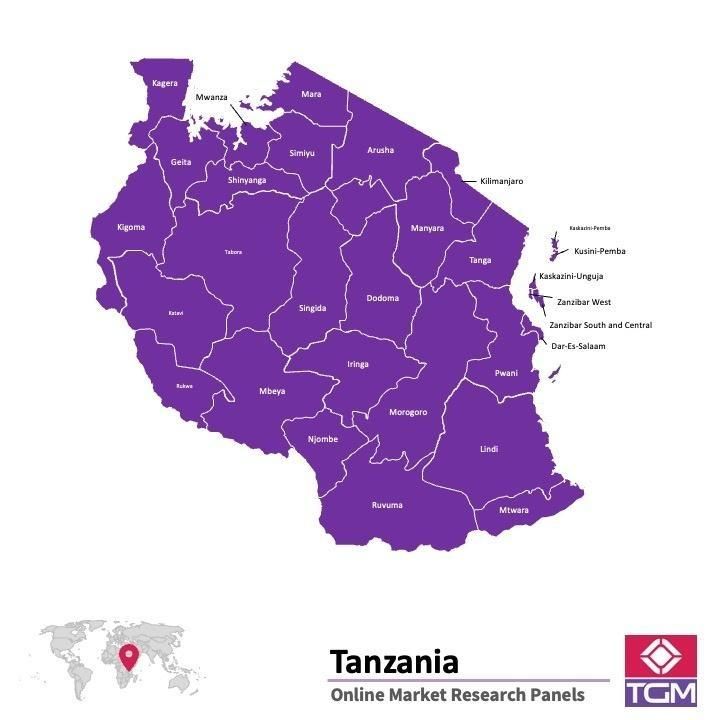 Online panel tại Tanzania| Nghiên cứu thị trường tại Tanzania