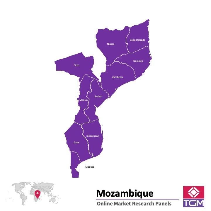Online panel tại Mozambique| Nghiên cứu thị trường tại Mozambique